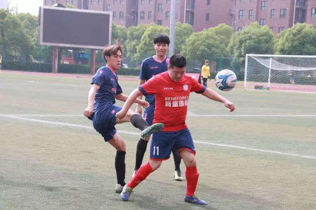 乐玩lewin官网入口公司简介配图